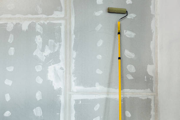 Best Drywall Patching  in Keenesburg, CO